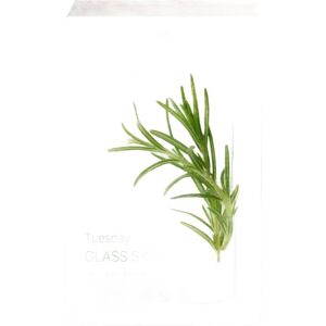 MIXSOON Daily Mask Pack Tuesday Glass Skin 20 ml MIXSOON Daily Mask Pack Tuesday Glass Skin 20 ml