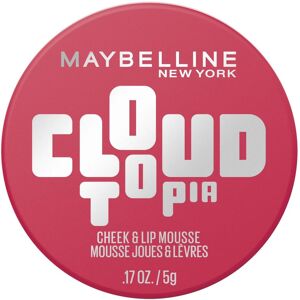 MAYBELLINE NEW YORK CloudTopia 02 Ethereal Rouge matná lícenka, 5 g MAYBELLINE NEW YORK CloudTopia 02 Ethereal Rouge matná lícenka, 5 g