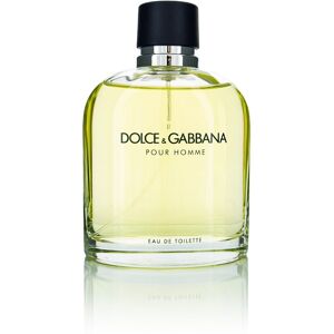 DOLCE & GABBANA Pour Homme EdT 125 ml DOLCE & GABBANA Pour Homme EdT 125 ml