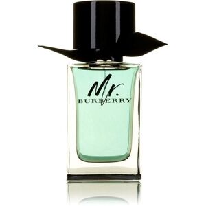 BURBERRY Mr. Burberry EdT 100 ml BURBERRY Mr. Burberry EdT 100 ml