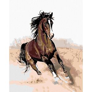 Diamondi – HNEDÁK V PIESKU, 40 × 50 cm, napnuté plátno na ráme Diamondi – HNEDÁK V PIESKU, 40 × 50 cm, napnuté plátno na ráme
