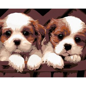 Diamondi – BIELOHNEDÉ ŠTEŇATÁ, 40 × 50 cm, napnuté plátno na ráme Diamondi – BIELOHNEDÉ ŠTEŇATÁ, 40 × 50 cm, napnuté plátno na ráme