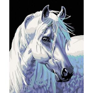 Diamondi – BIELY KÔŇ II, 40 × 50 cm, napnuté plátno na rám Diamondi – BIELY KÔŇ II, 40 × 50 cm, napnuté plátno na rám