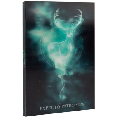 Grupo Erik Harry Potter – Expecto Patronum – zápisník premenlivý Grupo Erik Harry Potter – Expecto Patronum – zápisník premenlivý