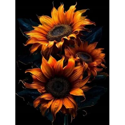 Norimpex Kytica slnečníc v čiernej farbe 30 × 40 cm Norimpex Kytica slnečníc v čiernej farbe 30 × 40 cm