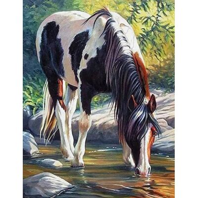 Norimpex Kôň v rieke 30 × 40 cm Norimpex Kôň v rieke 30 × 40 cm
