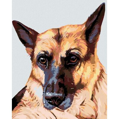 Diamondi – VLČIAK, 40 × 50 cm, vypnuté plátno na rám Diamondi – VLČIAK, 40 × 50 cm, vypnuté plátno na rám