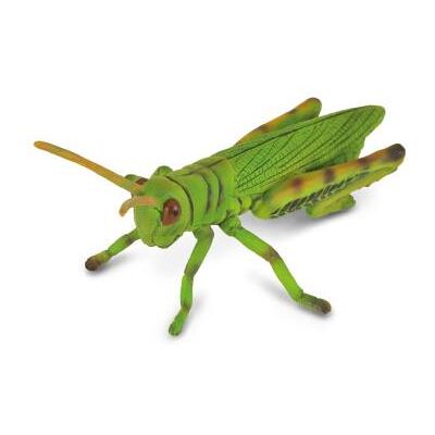 COLLECTA Kobylka lúčna COLLECTA Kobylka lúčna