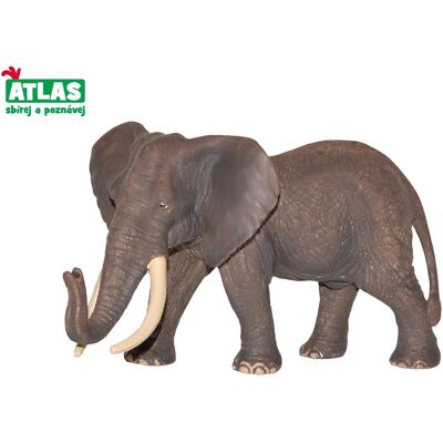 Wiky Atlas Slon africký Wiky Atlas Slon africký