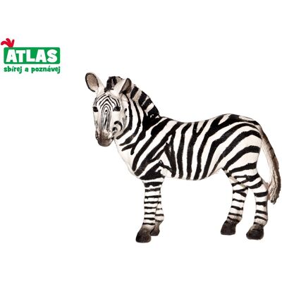 Wiky Atlas Zebra Wiky Atlas Zebra