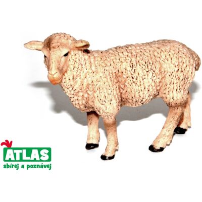 Wiky Atlas Ovca Wiky Atlas Ovca