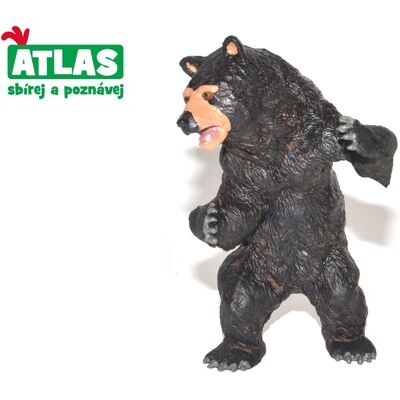 Wiky Atlas Medveď baribal Wiky Atlas Medveď baribal