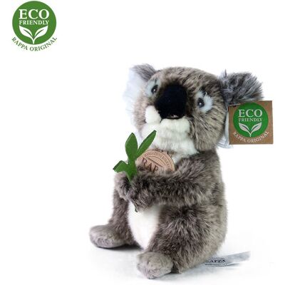 Rappa Plyšová koala, 15, Eco friendly Rappa Plyšová koala, 15, Eco friendly