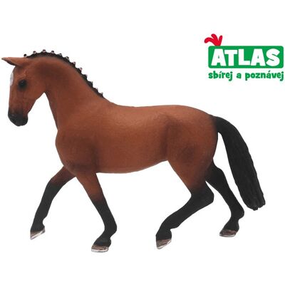 Wiky Atlas Kôň Hanoverský Wiky Atlas Kôň Hanoverský
