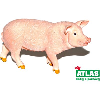 Wiky Atlas Prasa Wiky Atlas Prasa