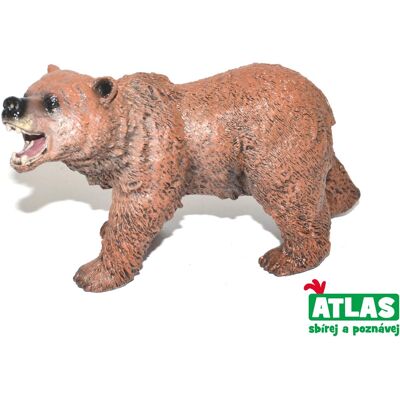 Wiky Atlas Medveď hnedý Wiky Atlas Medveď hnedý