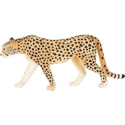 Mojo Fun Mojo – Gepard samec Mojo Fun Mojo – Gepard samec