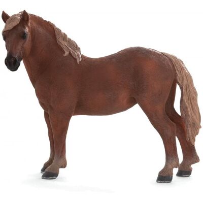 Mojo Fun Mojo – Kôň Suffolk punch – kobyla Mojo Fun Mojo – Kôň Suffolk punch – kobyla