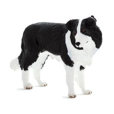 Mojo Fun Mojo – Border Kolia Mojo Fun Mojo – Border Kolia
