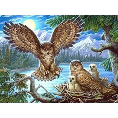 Norimpex Sovie hniezdo 30 × 40 cm Norimpex Sovie hniezdo 30 × 40 cm