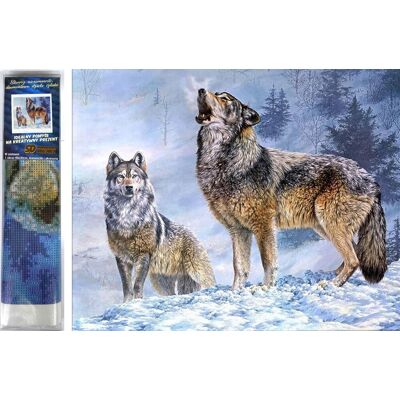 Norimpex Vlčie volanie 30 × 40 cm Norimpex Vlčie volanie 30 × 40 cm