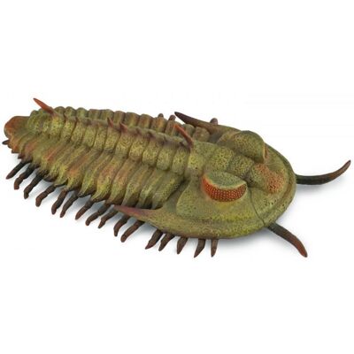 Collecta Trilobit Collecta Trilobit