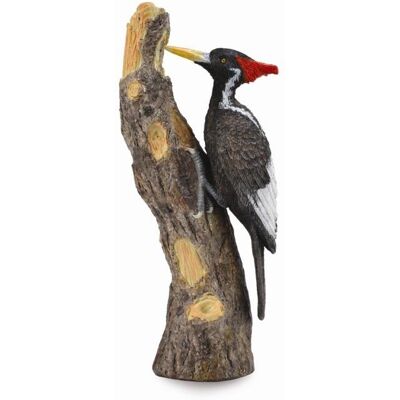 Collecta ďateľ Collecta ďateľ