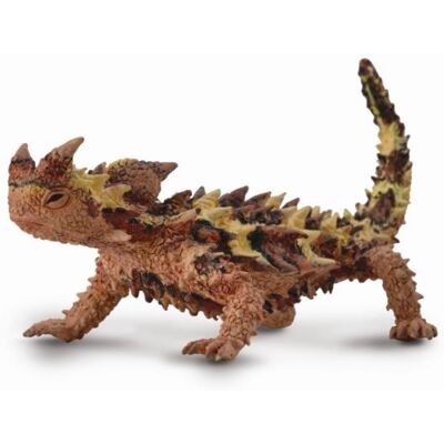 Collecta Moloch tŕnitý Collecta Moloch tŕnitý