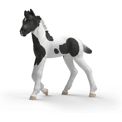 Schleich Žriebä Rocky 81481 Schleich Žriebä Rocky 81481