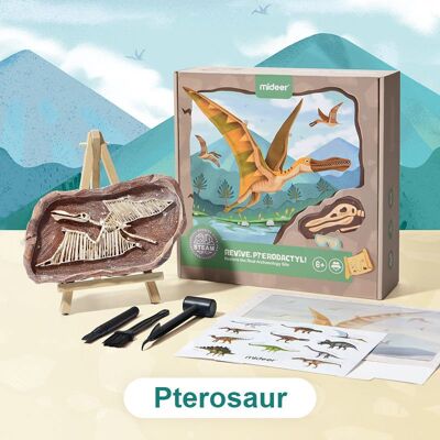 Mideer Vykopávanie dinosaurov – Pterosaurus Mideer Vykopávanie dinosaurov – Pterosaurus
