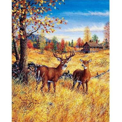 Norimpex Jelene na poli 30 × 40 cm Norimpex Jelene na poli 30 × 40 cm