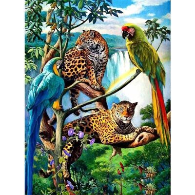 Norimpex Papagáje a leopardy 30 × 40 cm Norimpex Papagáje a leopardy 30 × 40 cm