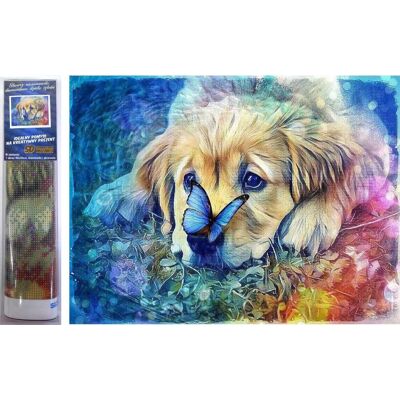 Norimpex Pes s motýľom 30 × 40 cm Norimpex Pes s motýľom 30 × 40 cm