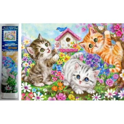 Norimpex Mačacia partia 30 × 40 cm Norimpex Mačacia partia 30 × 40 cm