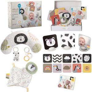 Taf Toys Súprava hračiek Hello Baby Taf Toys Súprava hračiek Hello Baby