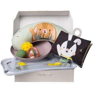 Taf Toys Súprava hračiek pre hru na brušku Taf Toys Súprava hračiek pre hru na brušku