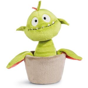 NICI Green Kvetina Gisela Mäsožravka NICI Green Kvetina Gisela Mäsožravka