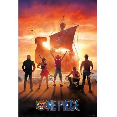 Grupo Erik One Piece Straw Hat Pirates Grupo Erik One Piece Straw Hat Pirates