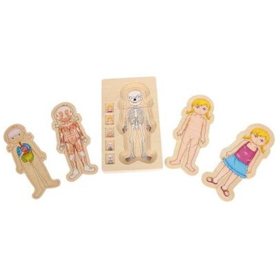 Small foot Puzzle - Anatómia Small foot Puzzle - Anatómia