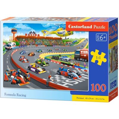 Castorland Preteky formúl 100 dielikov Castorland Preteky formúl 100 dielikov