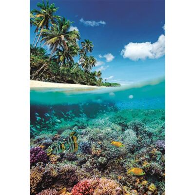 CLEMENTONI Puzzle Letný raj 1000 dielikov CLEMENTONI Puzzle Letný raj 1000 dielikov