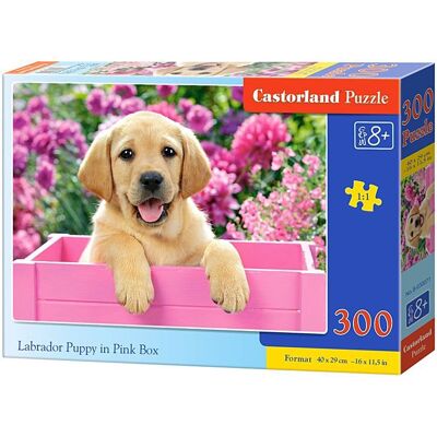 Castorland Labrador v růžovém boxu 300 dílků Castorland Labrador v růžovém boxu 300 dílků
