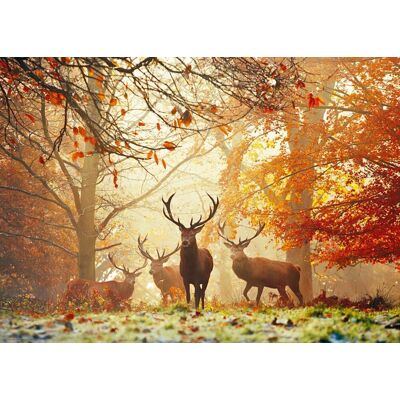 HEYE Puzzle Kouzelné lesy: Jeleni 1000 dílků HEYE Puzzle Kouzelné lesy: Jeleni 1000 dílků
