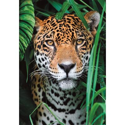 CLEMENTONI Jaguár v džungli 500 dielikov CLEMENTONI Jaguár v džungli 500 dielikov