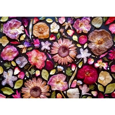 ENJOY Puzzle Ružová 1000 dielikov ENJOY Puzzle Ružová 1000 dielikov
