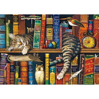 Schmidt Puzzle Frederick gramotný 1000 dielikov Schmidt Puzzle Frederick gramotný 1000 dielikov