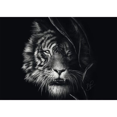 SCHMIDT Puzzle zvieracie vlastnosti – Divokosť tigra: Stelesnenie slobody 1000 dielikov SCHMIDT Puzzle zvieracie vlastnosti – Divokosť tigra: Stelesnenie slobody 1000 dielikov
