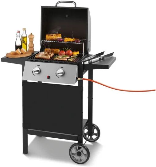 GRILLMEISTER Plynový gril s 2 plameňmi