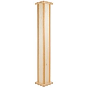 Meinl PRORM1NT Meinl PRORM1NT