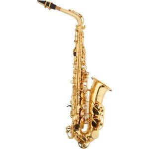 Bacio Instruments SA-01L Bacio Instruments SA-01L